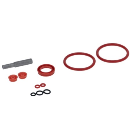 kit de reparación para entrada agua para con sello de labios con tapón de cabeza ovalada