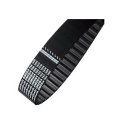 Correa Dentada 180 Xl  Sammic, Zummo