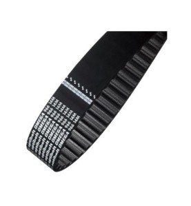 Correa Dentada 180 Xl  Sammic, Zummo