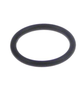 Junta tórica FKM espesor 2,62mm int.ø 20,63mm La-Spaziale