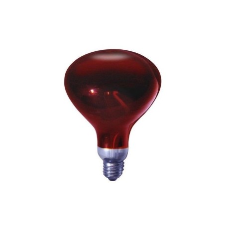 LÁmpara roja para mantenedor comida 250w