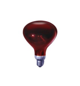 LÁmpara roja para mantenedor comida 250w