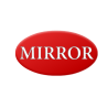 Mirror recambios