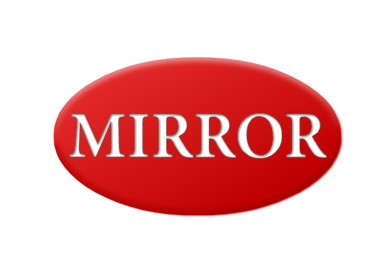 Mirror recambios