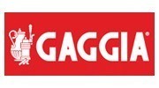 Gaggia recambios