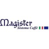 Magister recambios