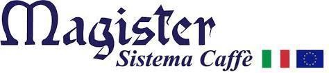 Magister recambios