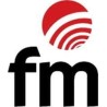 Fm hornos recambios