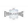 Everlasting recambios