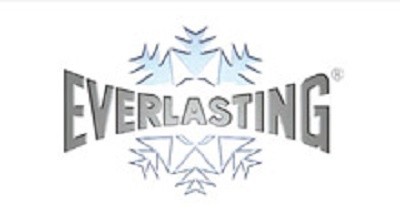 Everlasting recambios