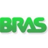 Bras internacional recambios