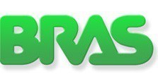Bras internacional recambios