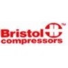 Bristol recambios