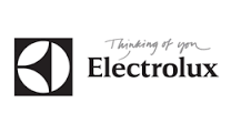 Electrolux recambios
